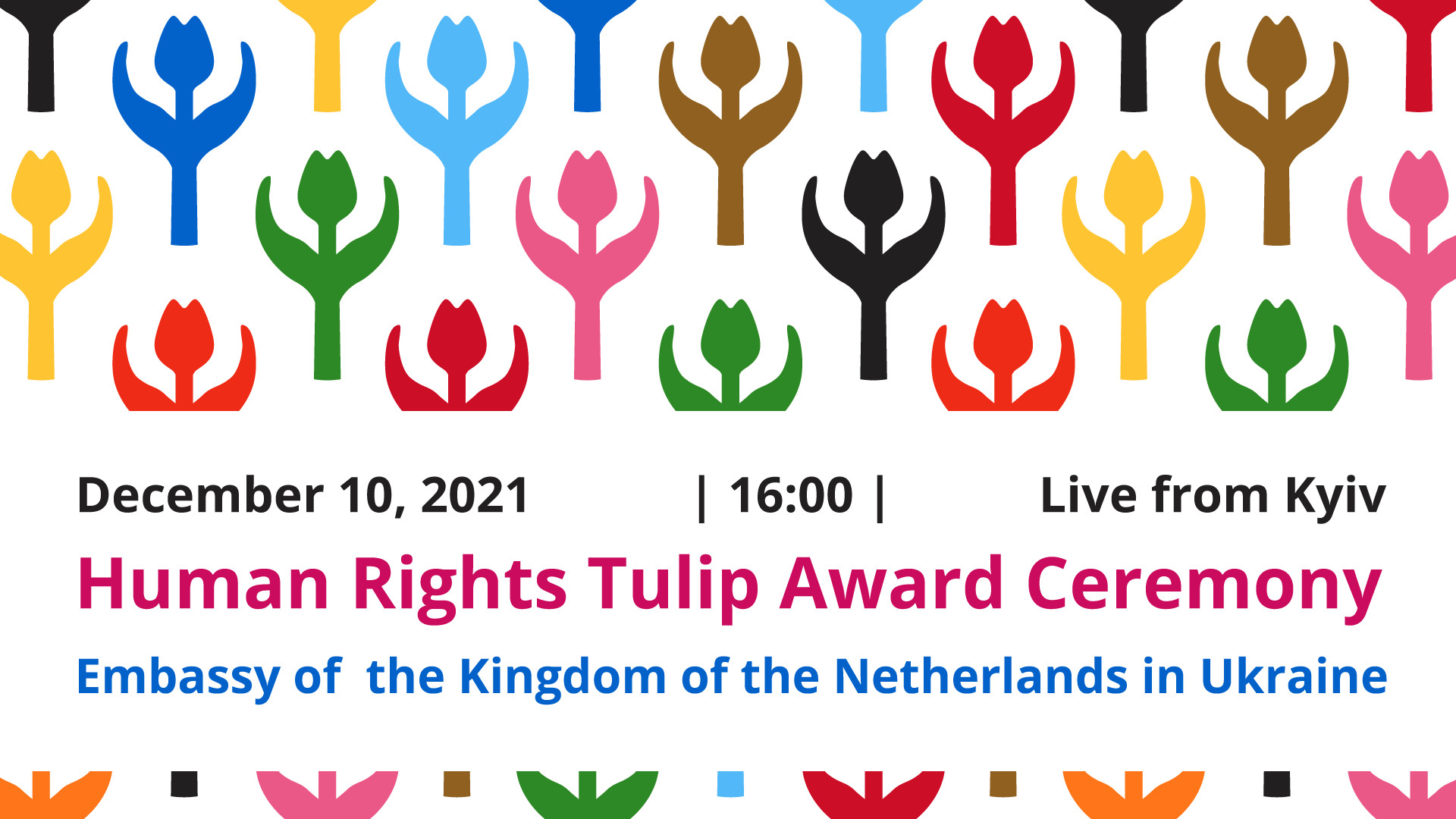 10 грудня — нагородження премією «Тюльпан прав людини»