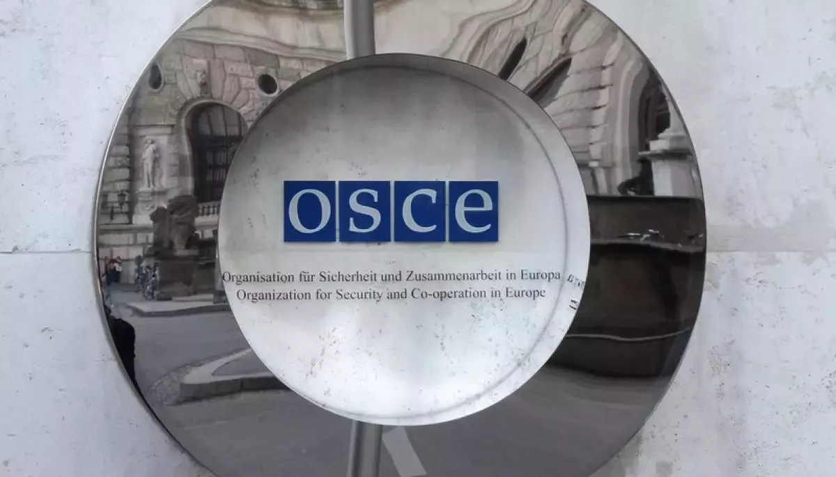 Держави-учасниці ОБСЄ запустили нову програму підтримки України