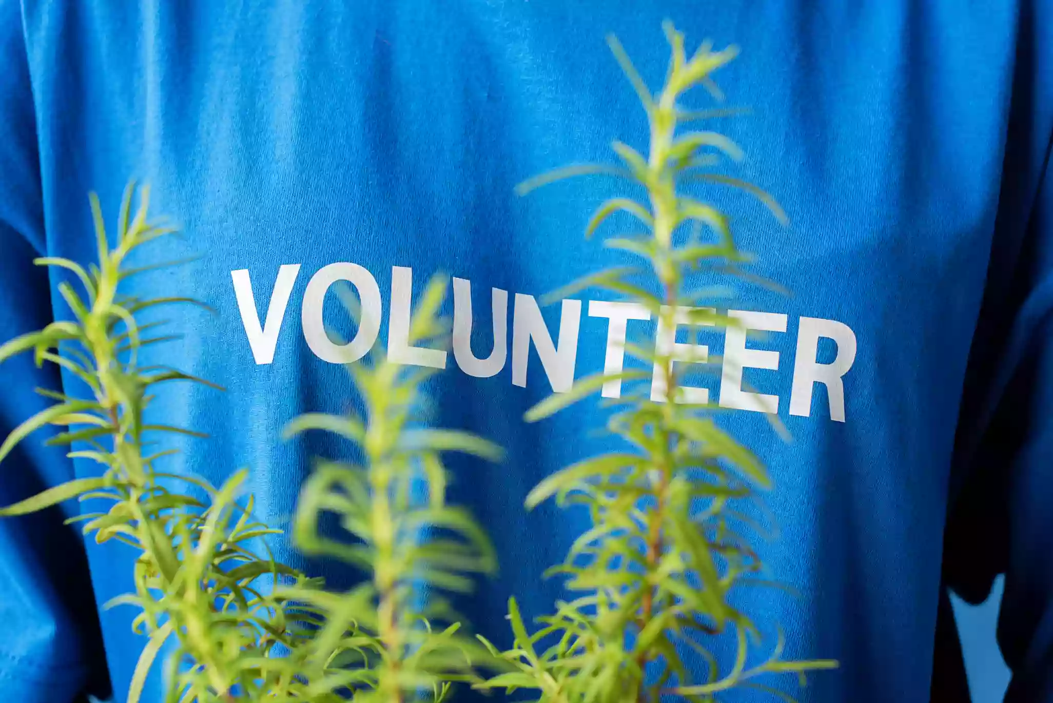 Усе, що варто знати волонтерам і благодійникам-початківцям