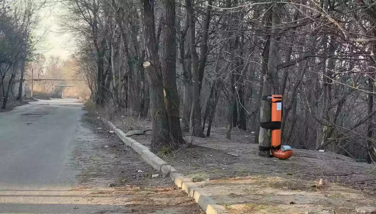 Годівнички життя: як волонтери БФ «Волонтерська спілка “Поруч”» рятують тварин у зоні бойових дій